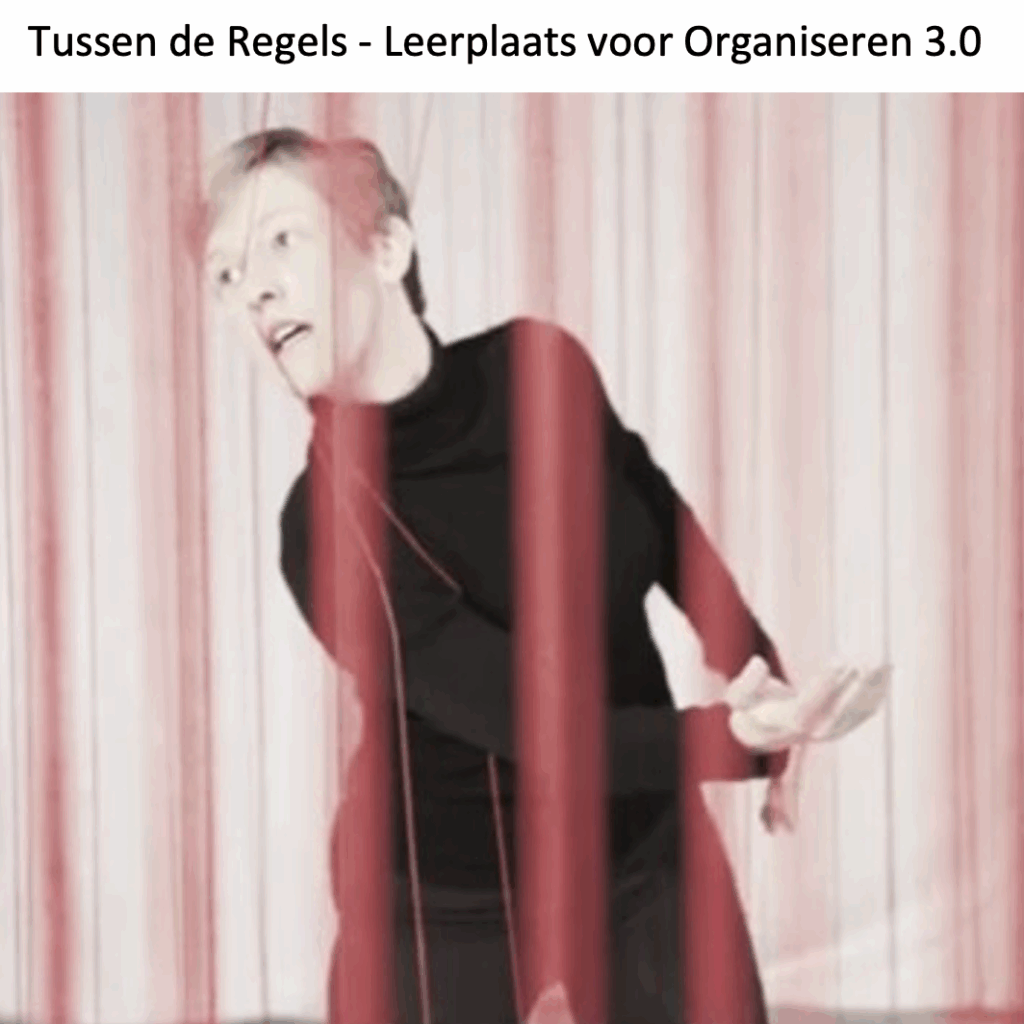 Beeld en link naar Tussen de Regels - Leerplaats voor Organiseren 3.0